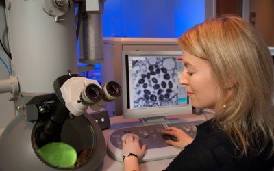 Le Coronavirus continue ses ravages